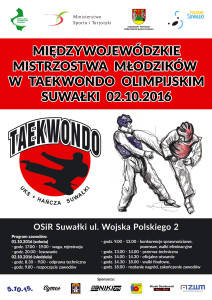 taekwondo_poster